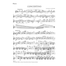 The Division Flûte Volume 1