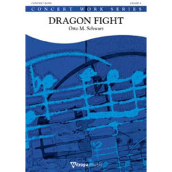 Dragon Fight