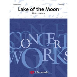 Lakes of the moon