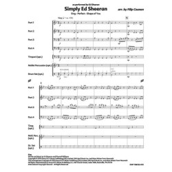 Can you feel the love tonight