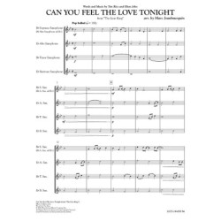 Can you feel the love tonight