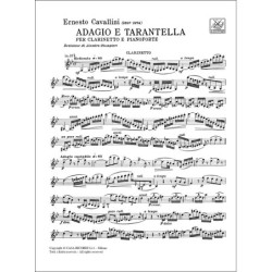 FRAGMENTE STILLE AN DIOTIMA...