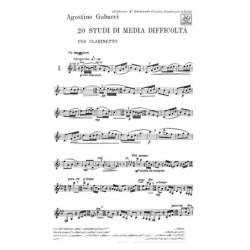 24 Grandes Etudes Volume 2