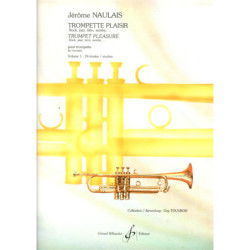 Concerto F.VIII n°13 en do...